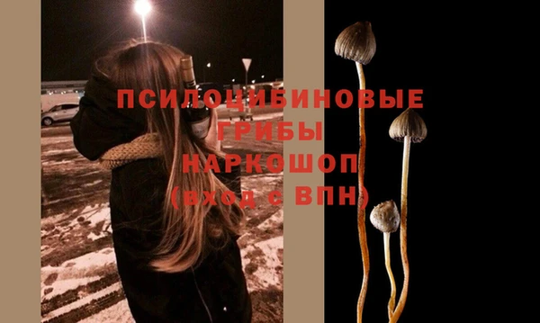 гашик Медногорск
