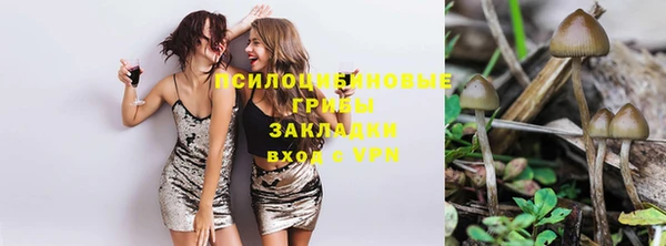 крисы Мегион