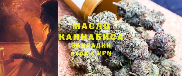 крисы Мегион