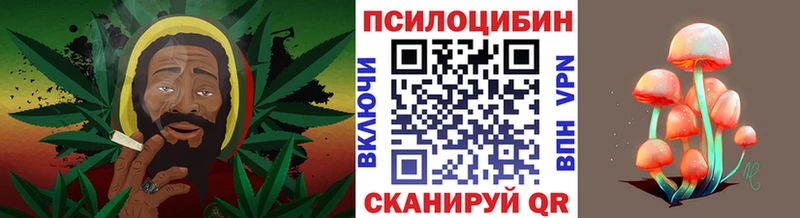 Псилоцибиновые грибы мухоморы где продают наркотики нарко площадка телеграм Подпорожье